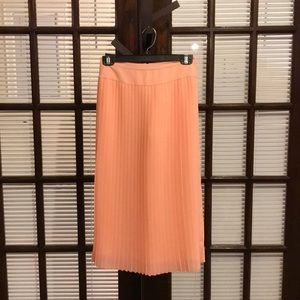 J.Crew Pleated High-wasted Skirt